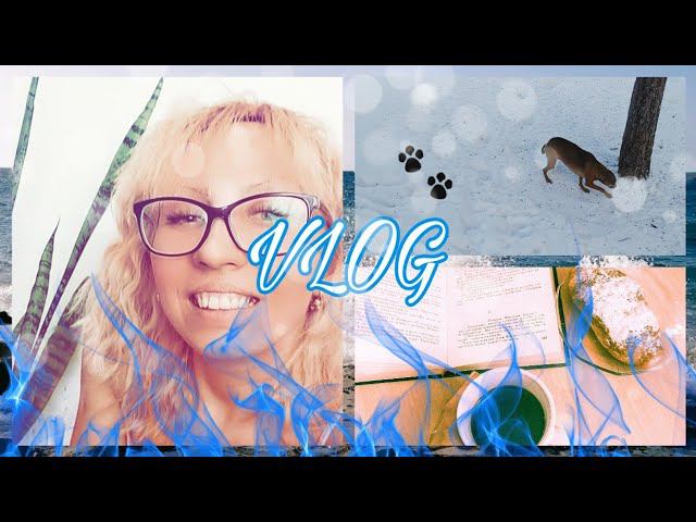 VLOGОПЯТЬ НЕ УДЕРЖАЛАСЬ И КУПИЛАОТКАЗЫВАЮСЬ ОПЯТЬ ОТ МЯСАКАК ПРОЖИТЬ НА 1000 В НЕДЕЛЮМОТИВАЦИЯ смотреть онлайн