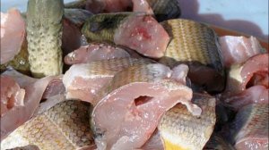 Как солить хариуса в домашних условиях