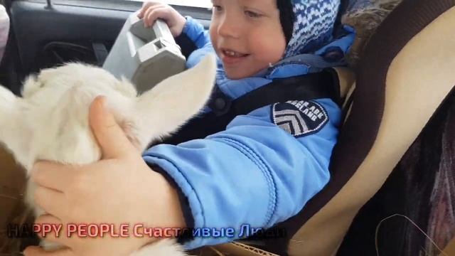 ЗАВАЛИЛО КРЫШИ! ОЧИСТКА КРЫШ ОТ СНЕГА! НАШ НОВЫЙ ПИТОМЕЦ! смотреть онлайн
