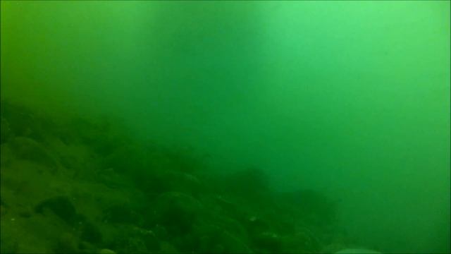 Five Bar Gate & Rossall School 21-09-2014 смотреть онлайн