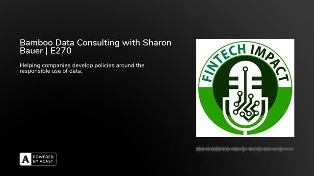 Bamboo Data Consulting with Sharon Bauer | E270 смотреть онлайн