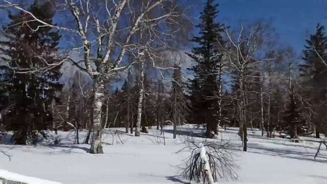 Тунгус 500 и Тикси люкс. Пробег Аджигардак Миньяр. смотреть онлайн