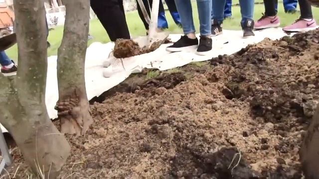 Приключения итальянцев в Долгопрудном. 16 сентября 2017. смотреть онлайн