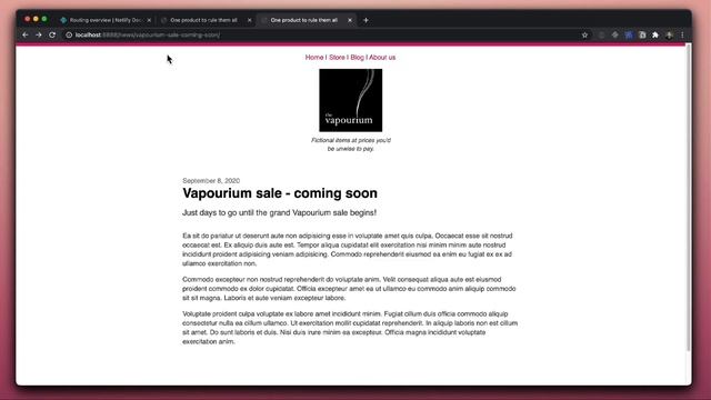 Exploring Netlify Redirects: Wildcards, Placeholders and Local Development смотреть онлайн