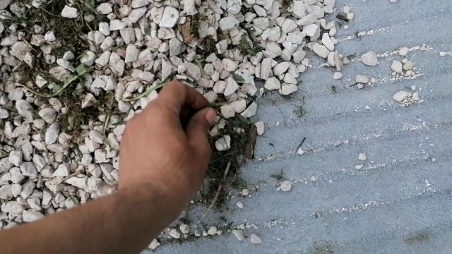 Новый забор. Начало