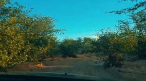 18+ Дикие племена Африки. ГОЛОЕ племя Химба. НАМИБИЯ. Реальная АФРИКА...