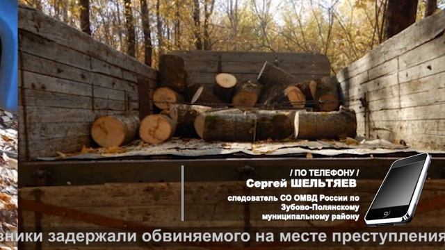 Лесоруб из Пензы | Logger from Penza смотреть онлайн