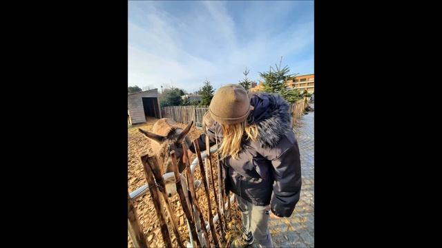 Мартин, Валерия. Кале, Франция. Часть II. смотреть онлайн