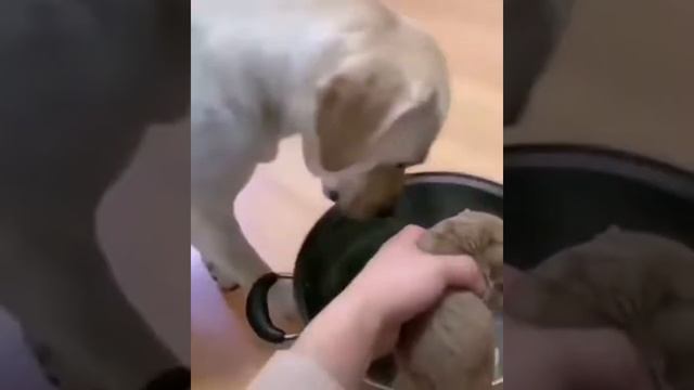 Вот что значит быть родителями... смотреть онлайн