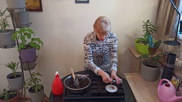Как сеять львиный зев смотреть онлайн
