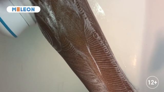 Щётка для душа MELEON смотреть онлайн
