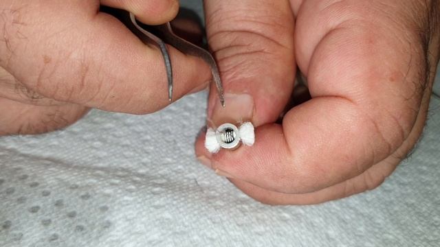 Asmodus Flow Pod Rewick смотреть онлайн