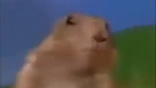 trololo meets dramatic animals смотреть онлайн