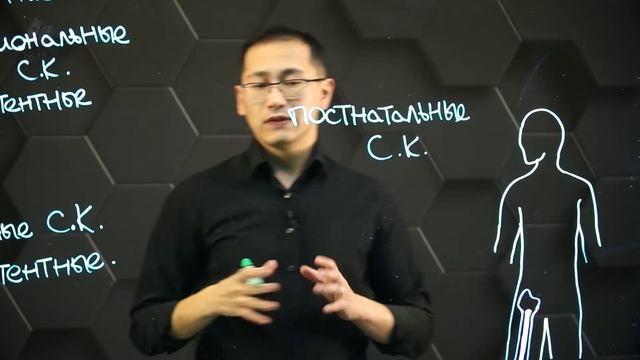 Виды стволовых клеток: эмбриональные и соматические. 11 класс. смотреть онлайн