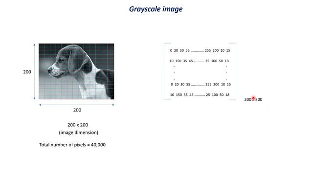 Processing Image data for Deep Learning смотреть онлайн