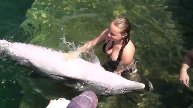 Дельфин Dolphin.MTS смотреть онлайн