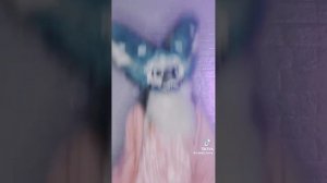 Фурри и Рапторы из ТТ (Не Мои)