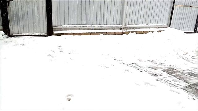 Супер лопата для очистки снега. I'm testing a super shovel for clearing snow. смотреть онлайн