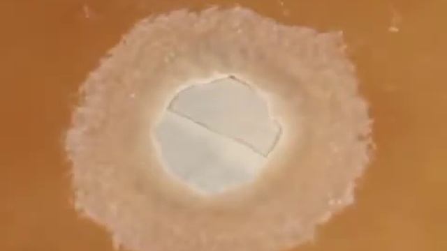 Evercoat Fiber Tech Reinforced Repair Compound Filler смотреть онлайн