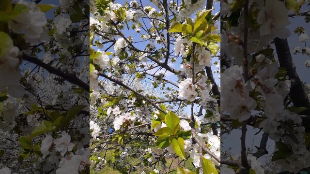 Техника сохранения молодости