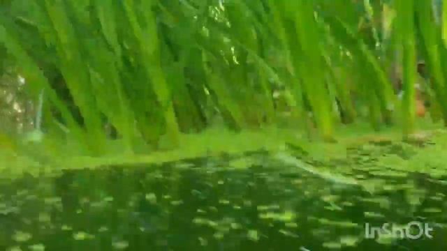 По Москве... в ритмах 