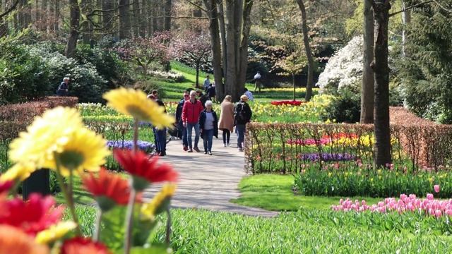 Keukenhof Garden - April 18, 2021 смотреть онлайн