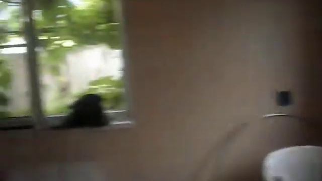 Мамин дом смотреть онлайн