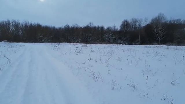 Видеонарезка с Тошей смотреть онлайн