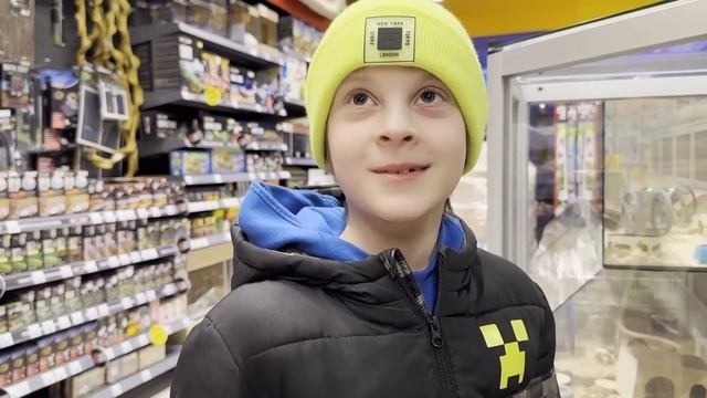 Покупаем поводок и лежанку для щенка. Шопинг для собаки чихуахуа смотреть онлайн