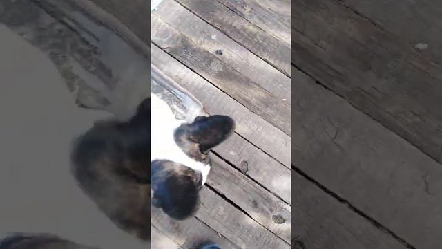 Ася разбирает пол смотреть онлайн