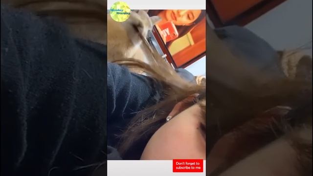 TikTok China | 10min TikTok China Trend Updated Daily #24| Tik Tok Dance | Кинески поп | चीनियाँ पप