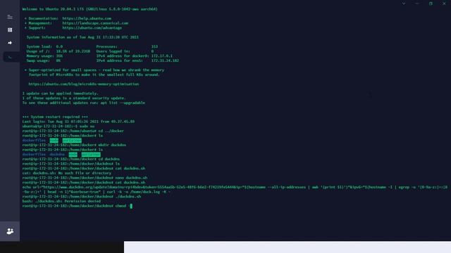 Setup DuckDNS To Auto Update Ip Address