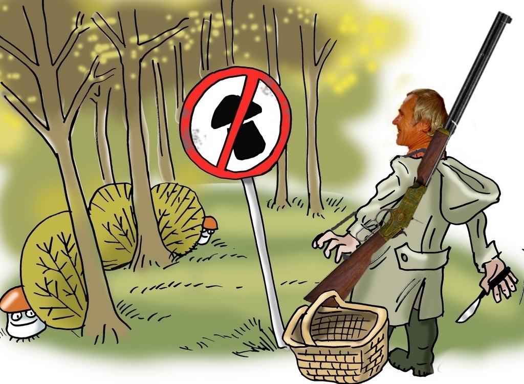 142. Вступил в силу закон об ответственности за уничтожение редких грибов