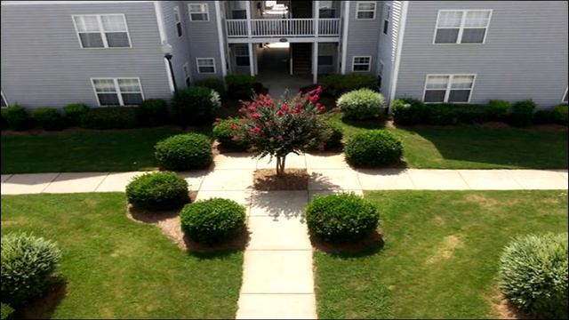 АД ПЕРФЕКЦИОНИСТА смотреть онлайн