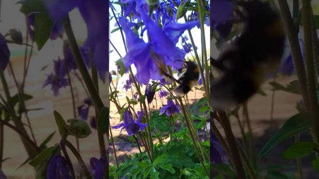 Все места заняты! смотреть онлайн