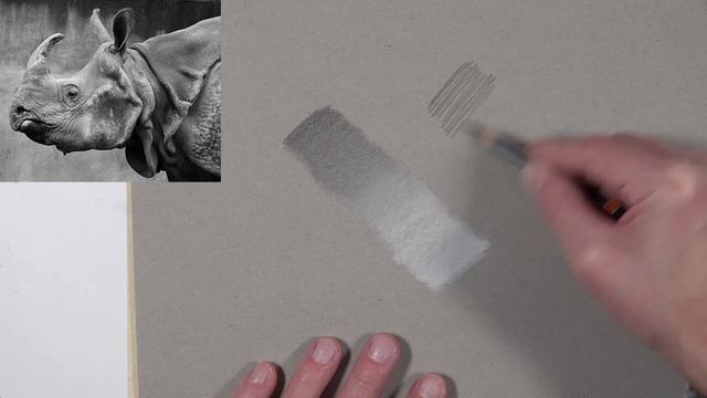 Realistic Graphite and White Charcoal Drawing - Rhinoceros смотреть онлайн