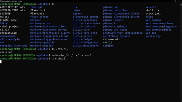 Plutus Smart Contract Development: Running Plutus on Windows with WSL смотреть онлайн