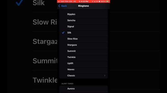 All IPhone Ringtones (iOS 15)!!!