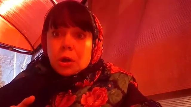 Проект "Читаем сказки" смотреть онлайн