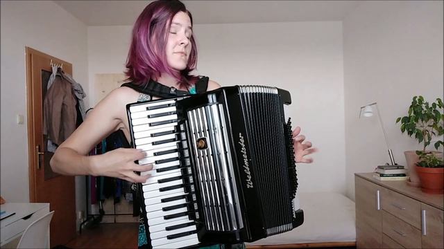 La Valse d'Amelie (Y. Tiersen) cover смотреть онлайн