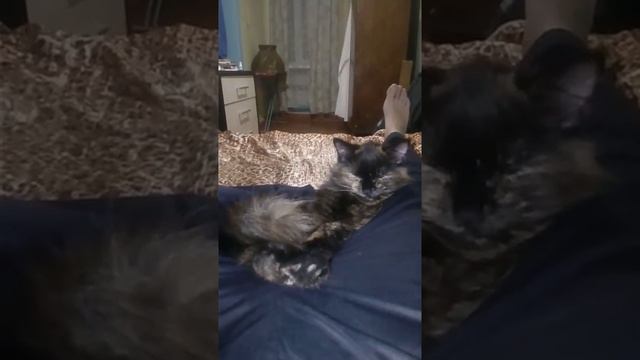 Невероятное видео, что это было??? смотреть онлайн