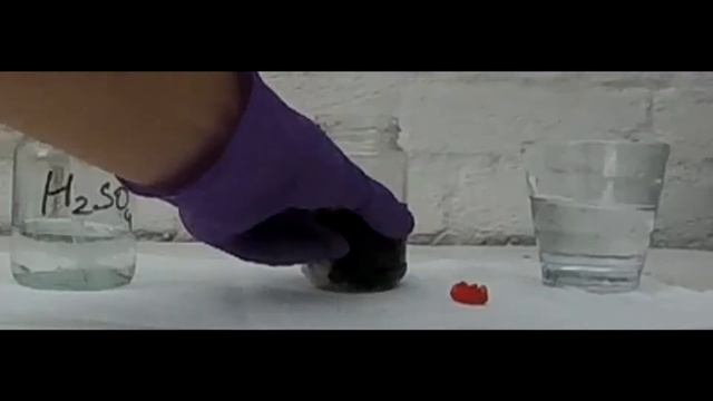 CHEMICAL EXPERIMENT: Sulfuric Acid react with Gummy Bear Experiment | Paul´s Hackz смотреть онлайн