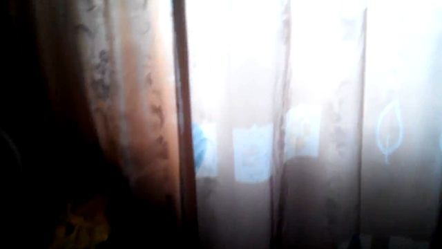 Домик 6*5 (дача) приехал для осмотра