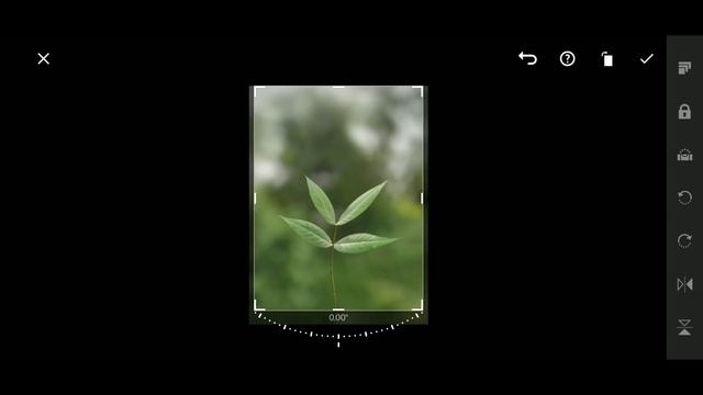 INSTAGRAM Viral Photography Editing In SNAPSEED And LIGHTROOM CC MOBILE ?