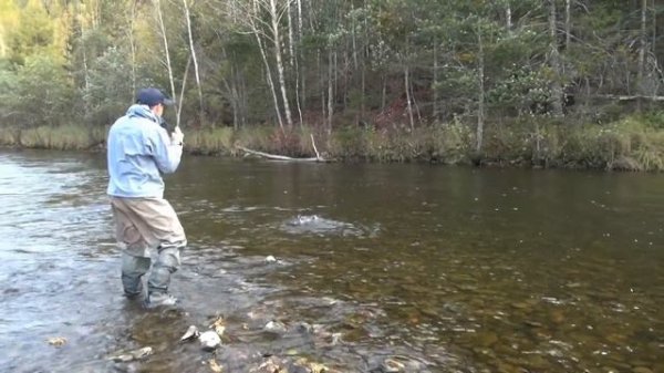 Ловля на воблер Smith D-Coax