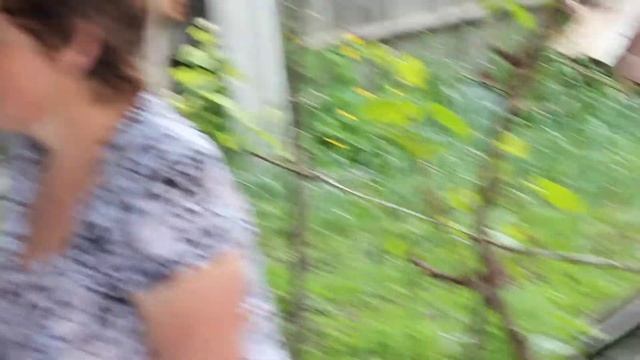 деревня и баян смотреть онлайн