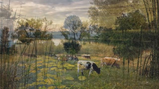 "ОЙ ТЫ, ДIВЧИНА"... (Фото Виктора Черемисина (Киев) - Поёт Дмитий Гнатюк) смотреть онлайн