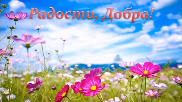 поздравить крестника с днем рождения смотреть онлайн