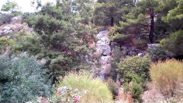 ТУРЦИЯ / ФЕТХИЕ /  ХИСАРОНЮ / ОЛЮДЕНИЗ / ОТЕЛИ ч.1 / ORKA SUNLIFE RESORT 5*