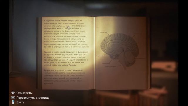 УЖЕ СОШЕЛ С УМА? | Conarium #1 смотреть онлайн